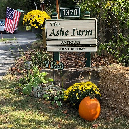 Bed and Breakfast The Ashe Farm Marshall Экстерьер фото
